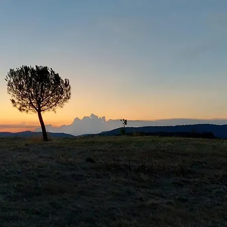 Vista Piscina * Baccano