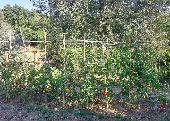 Vista Piscina Apartamento Baccano